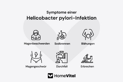 HomeVital Magen-Check